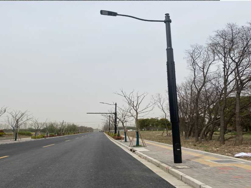 上海综合杆 太阳能路灯工程